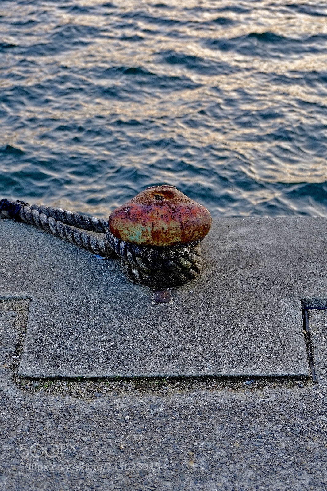 Fujifilm X-Pro1 sample photo. Tied off photography