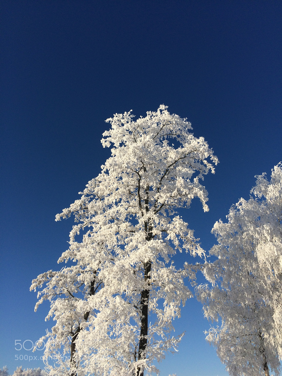 Apple iPhone 5s sample photo. Untitled photography