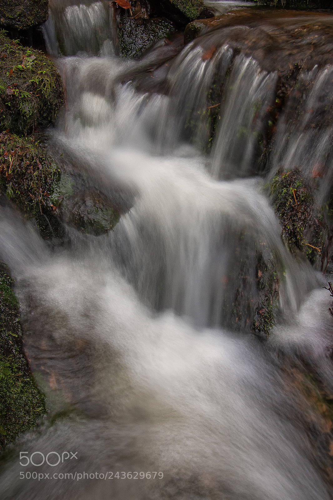 Canon EOS 7D Mark II sample photo. Cleddon falls..... photography