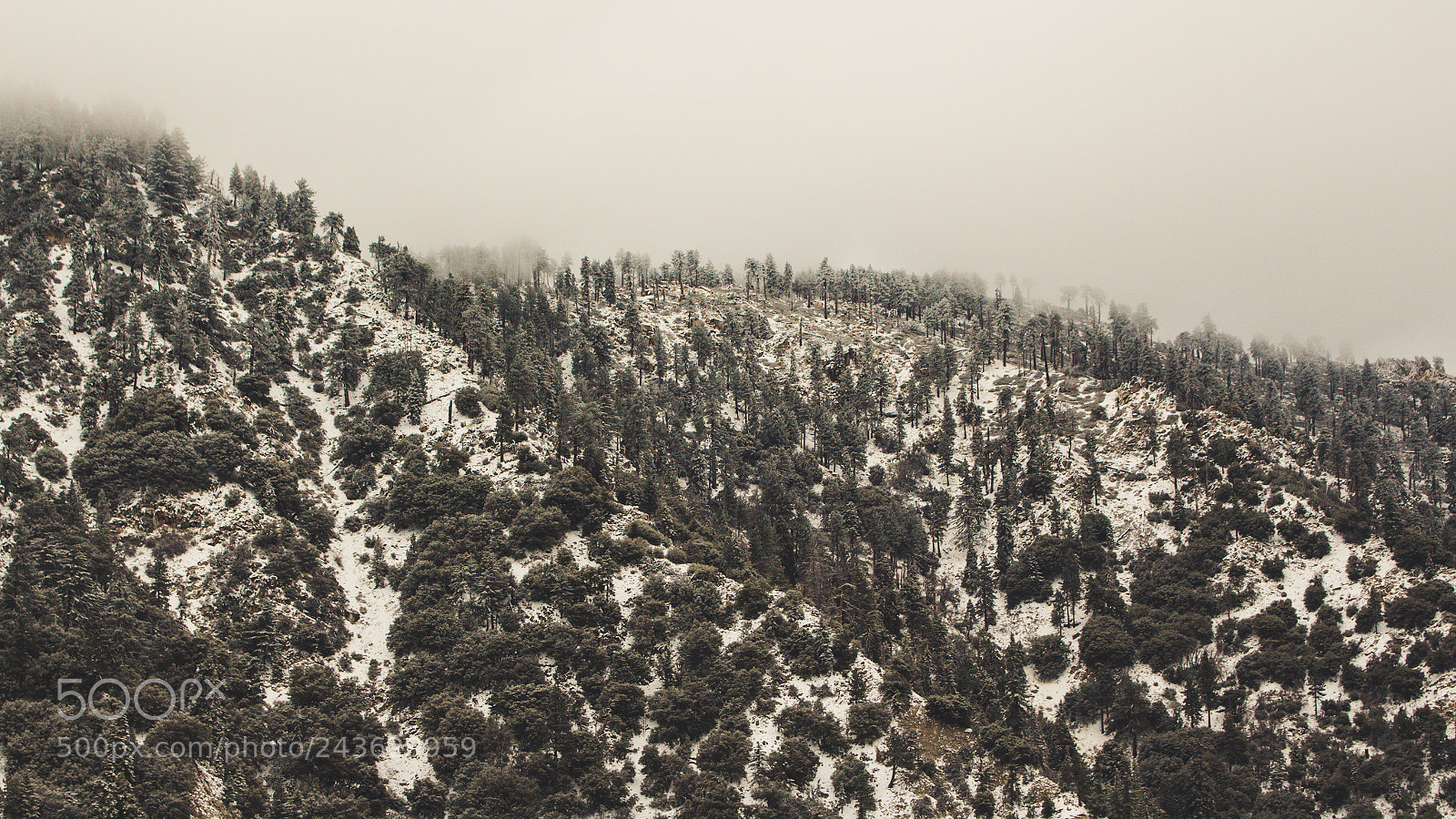 Canon EOS 700D (EOS Rebel T5i / EOS Kiss X7i) sample photo. Bigbear photography