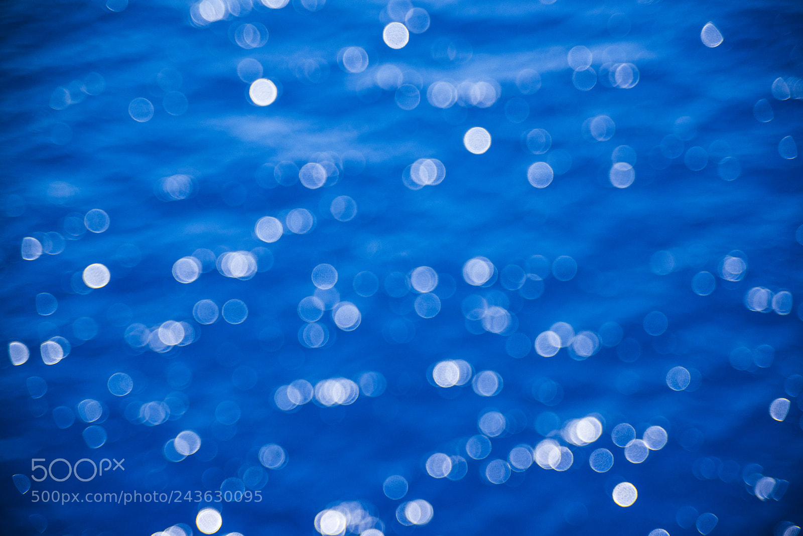 Nikon D800 sample photo. Dreaming... photography