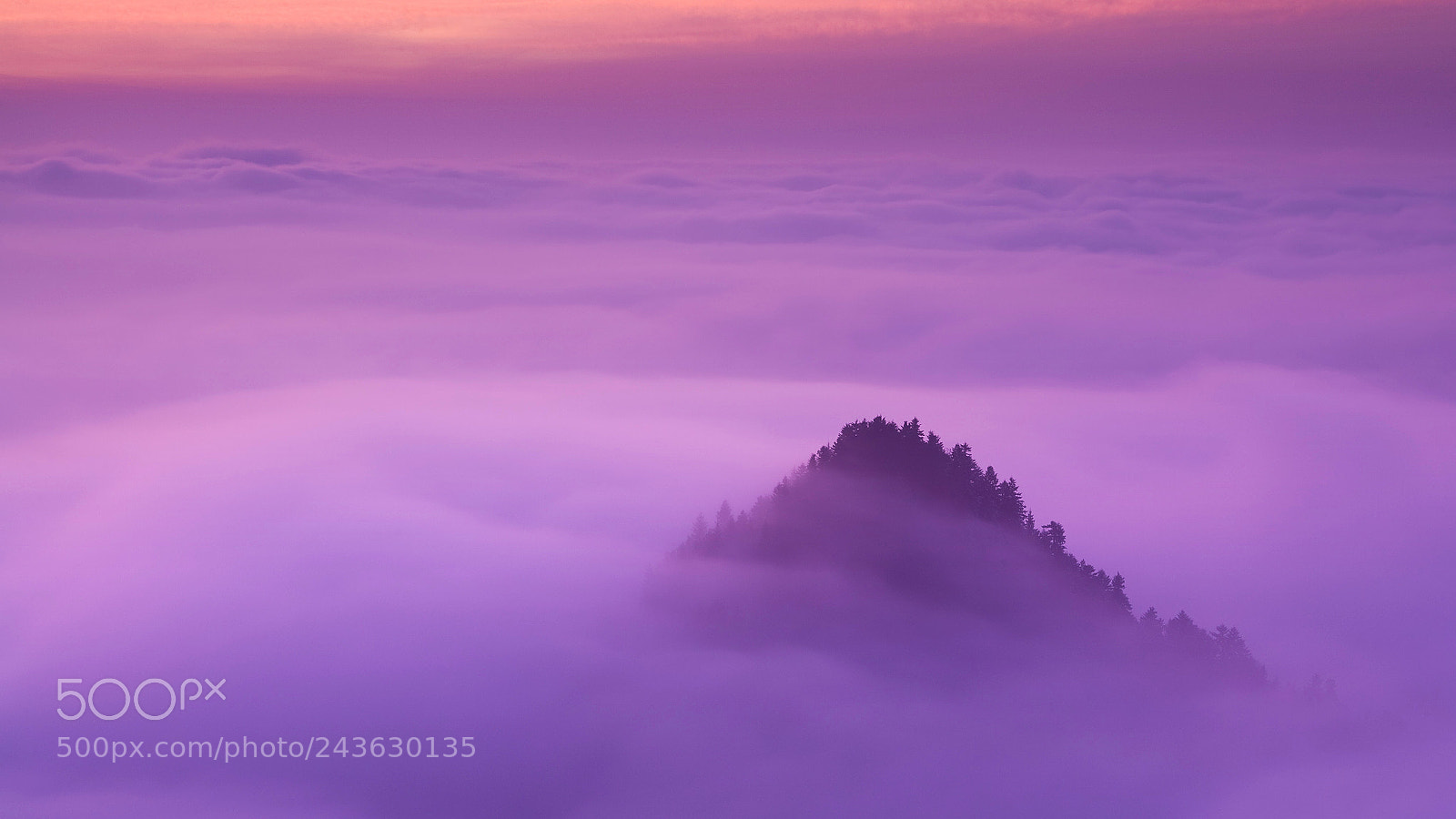 Canon EOS 5D sample photo. Sea of fogs photography