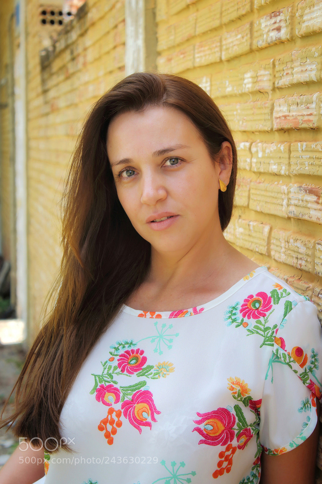 Canon EOS 1200D (EOS Rebel T5 / EOS Kiss X70 / EOS Hi) sample photo. Companherismo, parceria... photography