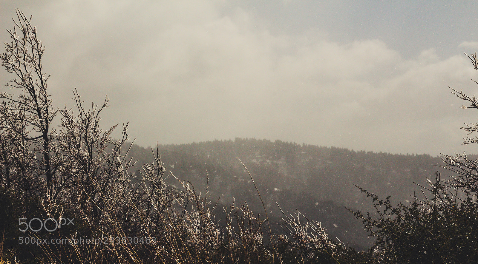 Canon EOS 700D (EOS Rebel T5i / EOS Kiss X7i) sample photo. Bigbear photography