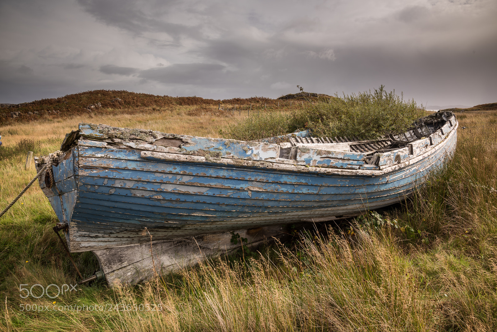 Nikon D810 sample photo. Old blue photography