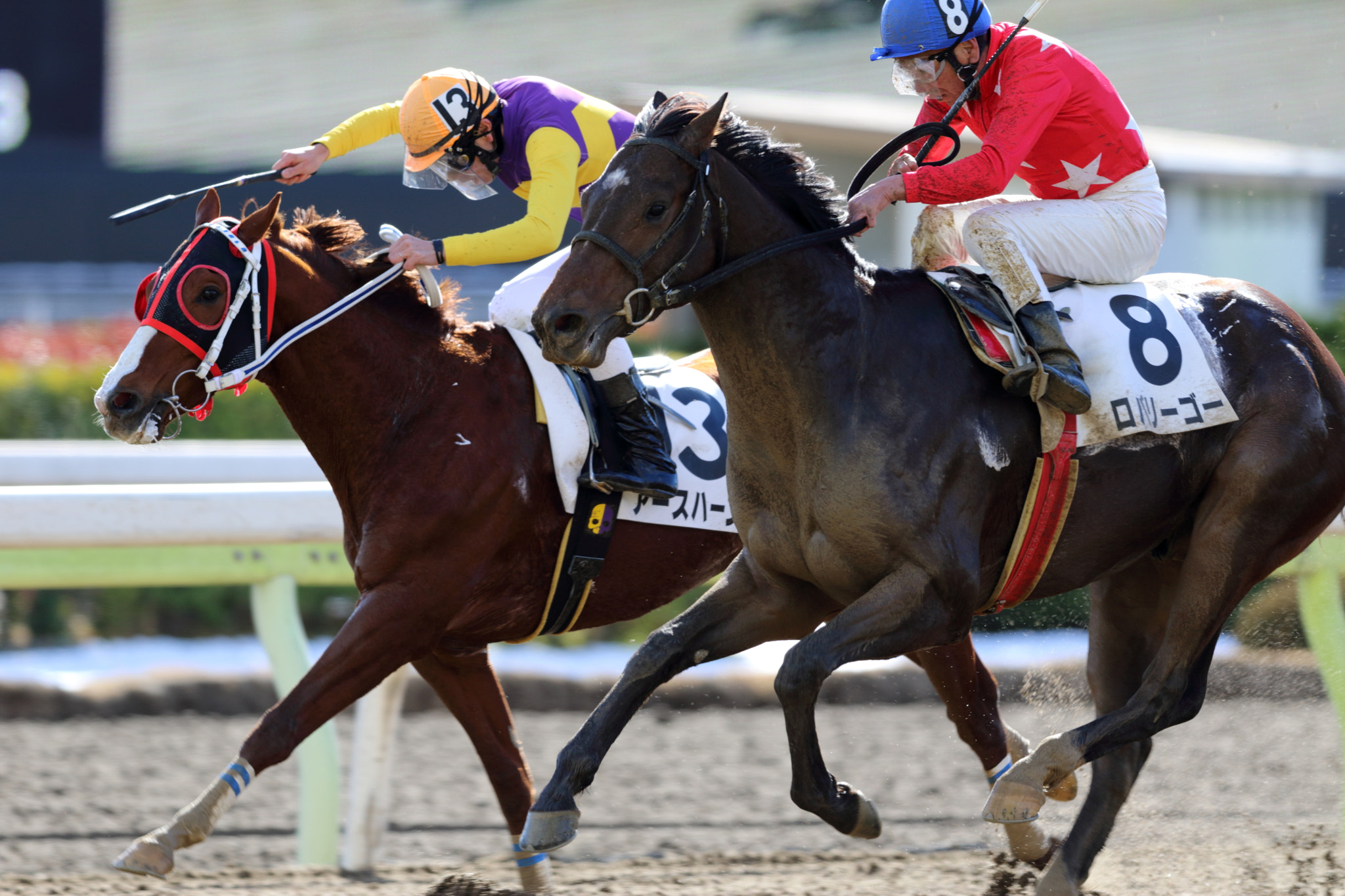 Canon EF 300mm F2.8L IS II USM sample photo. Gooooo photography