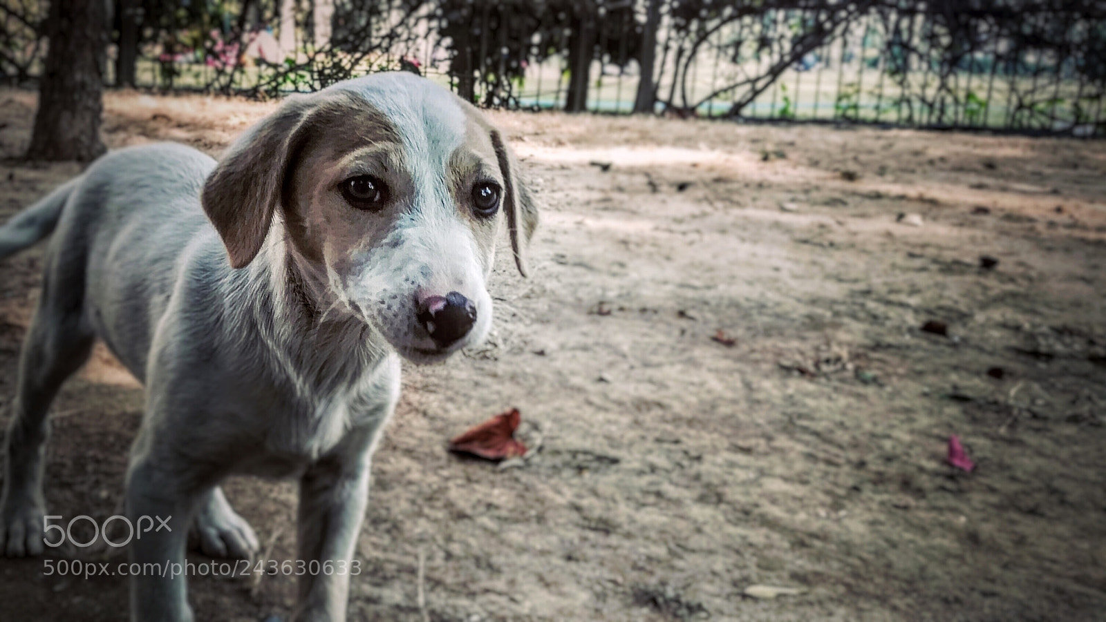 HUAWEI honor 6x sample photo. Untitled photography