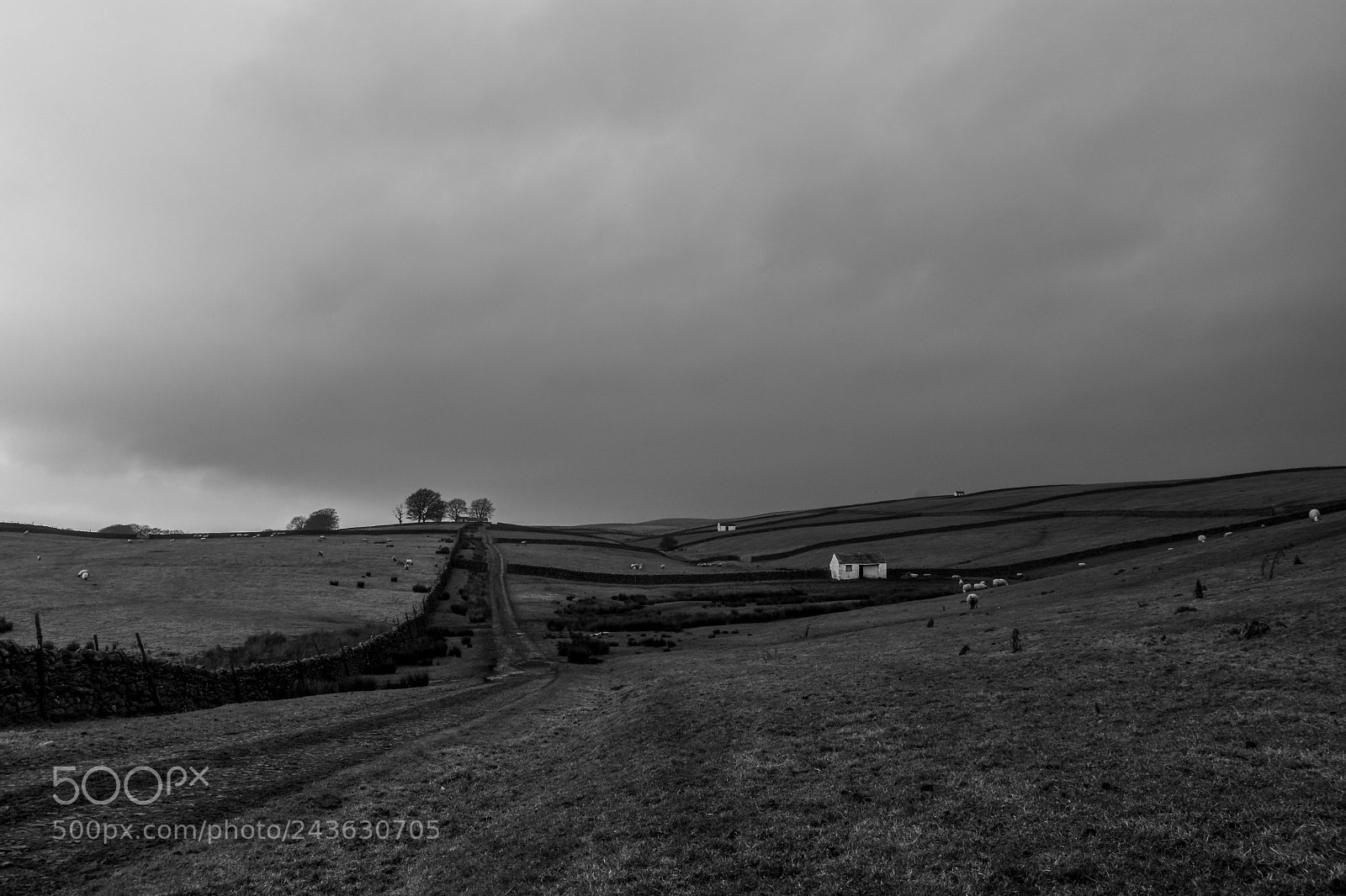 Nikon D7200 sample photo. Uphill struggle photography