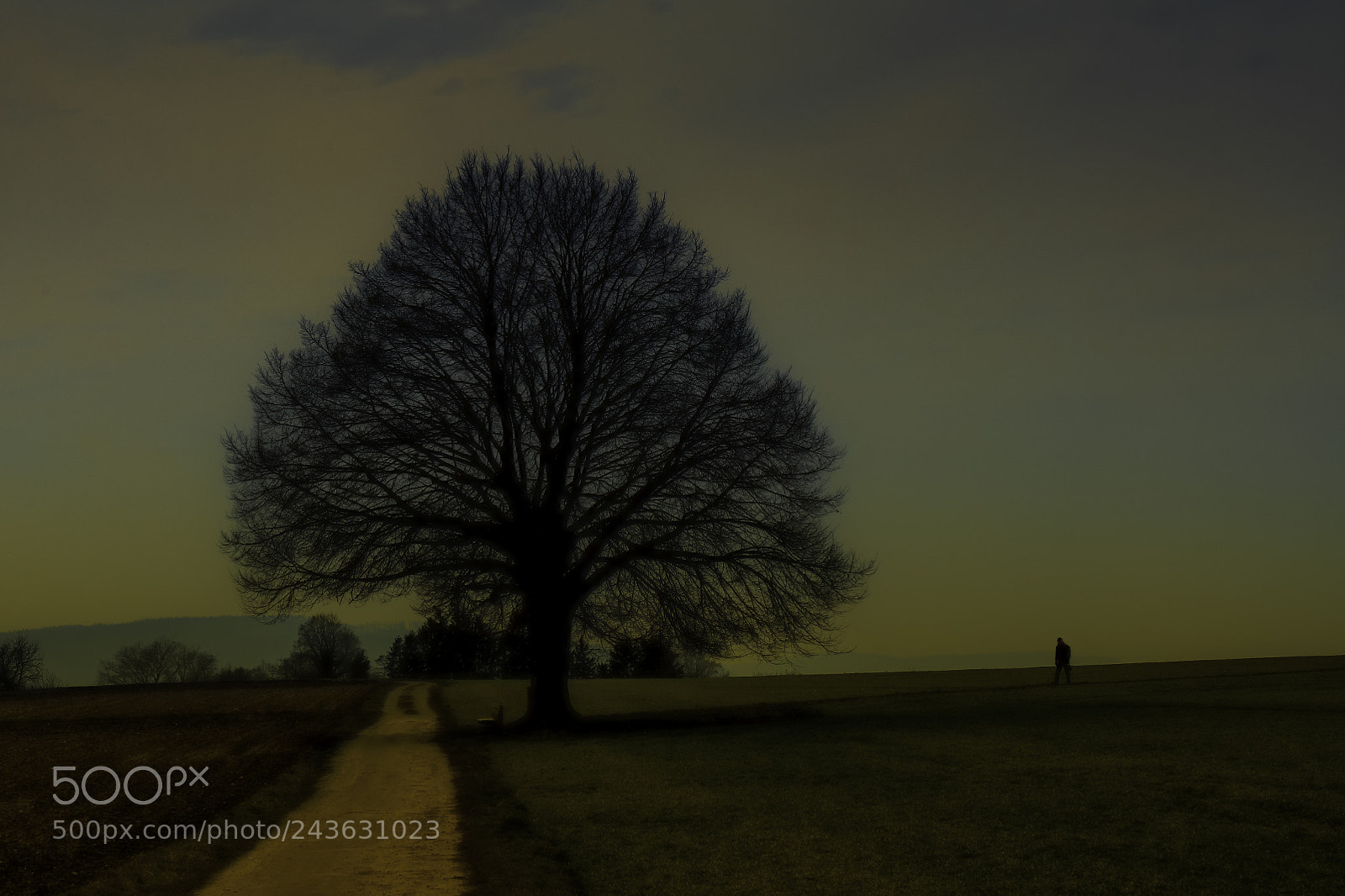 Nikon D300 sample photo. Romantic scene photography