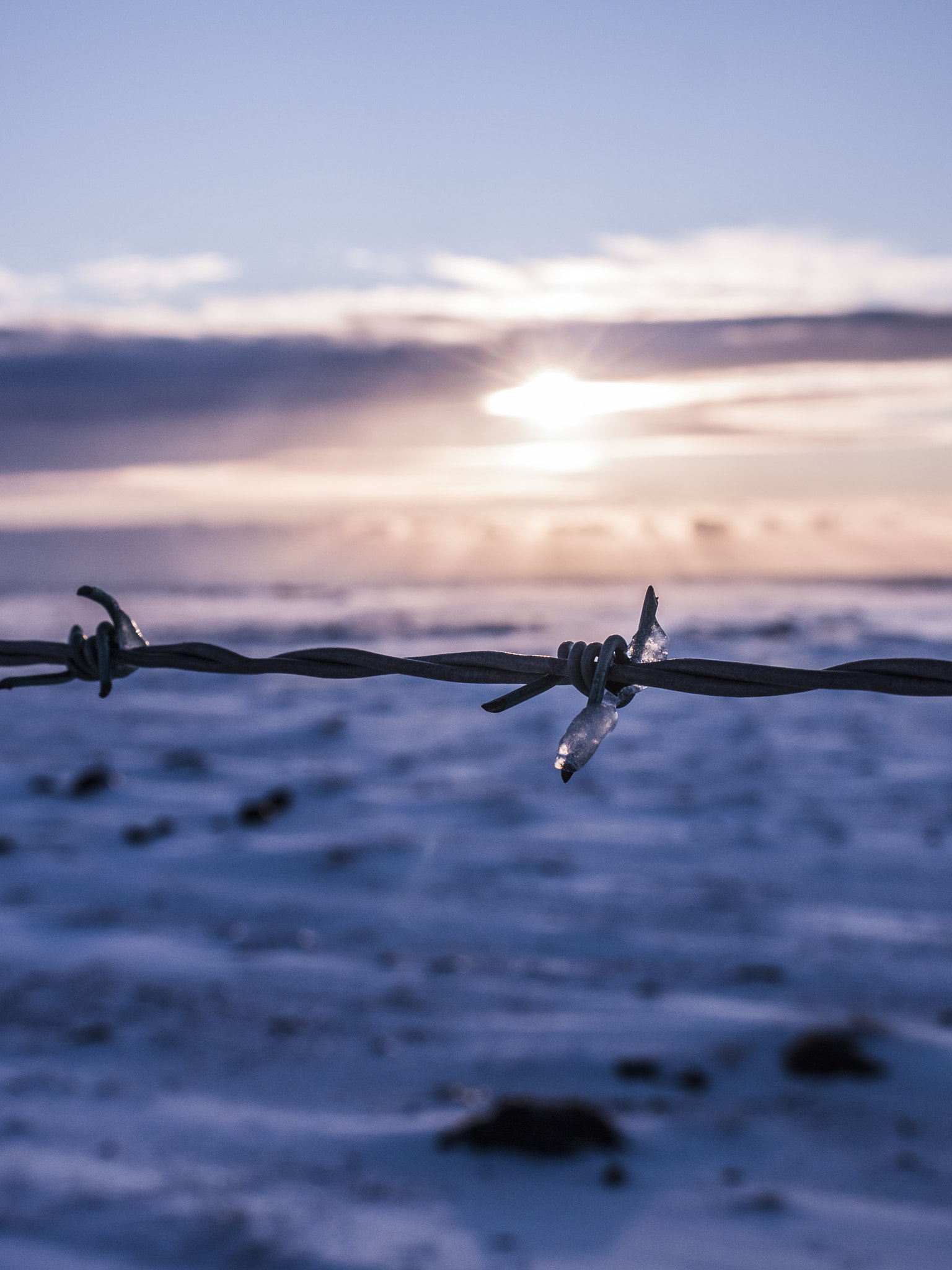 Panasonic Lumix DMC-GF2 sample photo. Frozen barbed wire photography