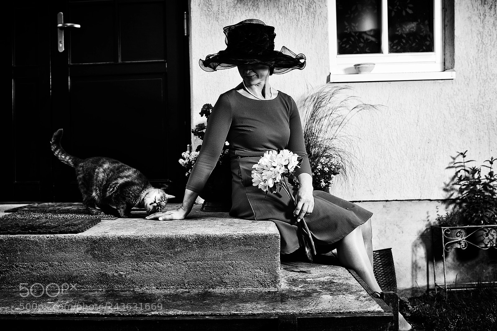 Nikon D700 sample photo. Hat cat photography