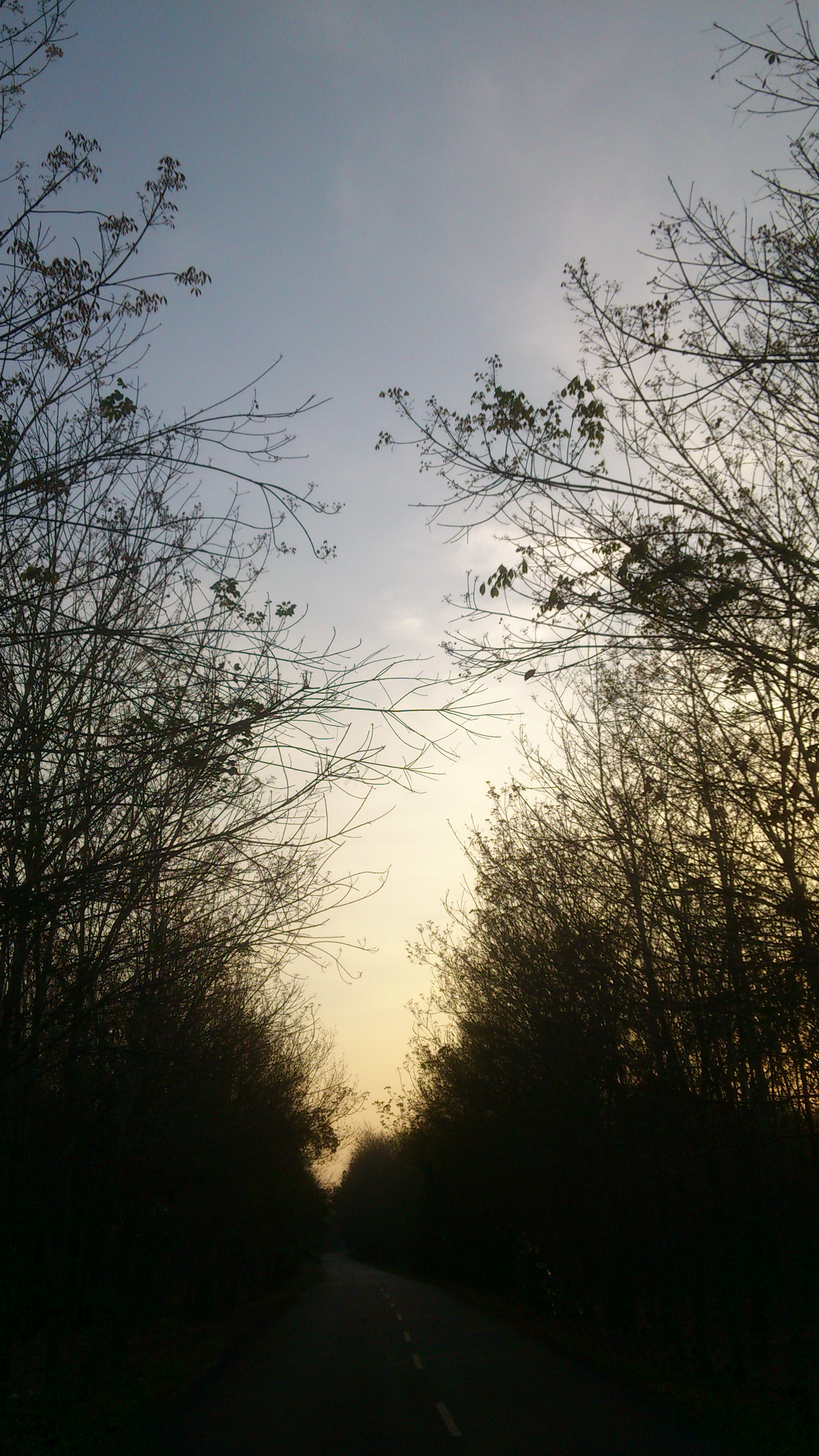 Sony Ericsson Xperia arc S sample photo