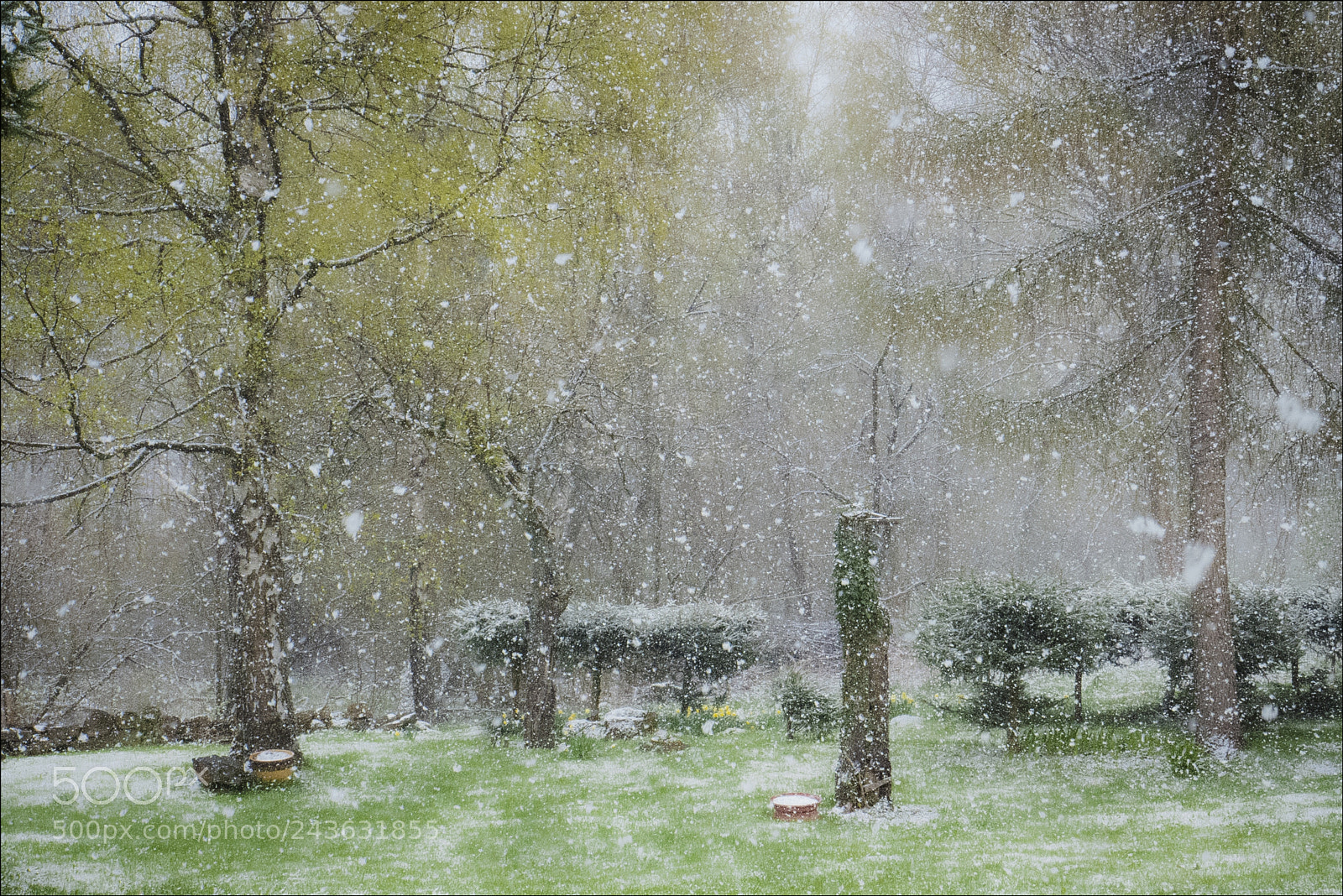 Panasonic Lumix DMC-LX7 sample photo. Snows photography