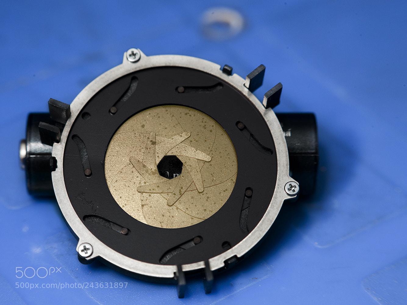 Canon EOS-1Ds Mark III sample photo. 1023822.jpg photography