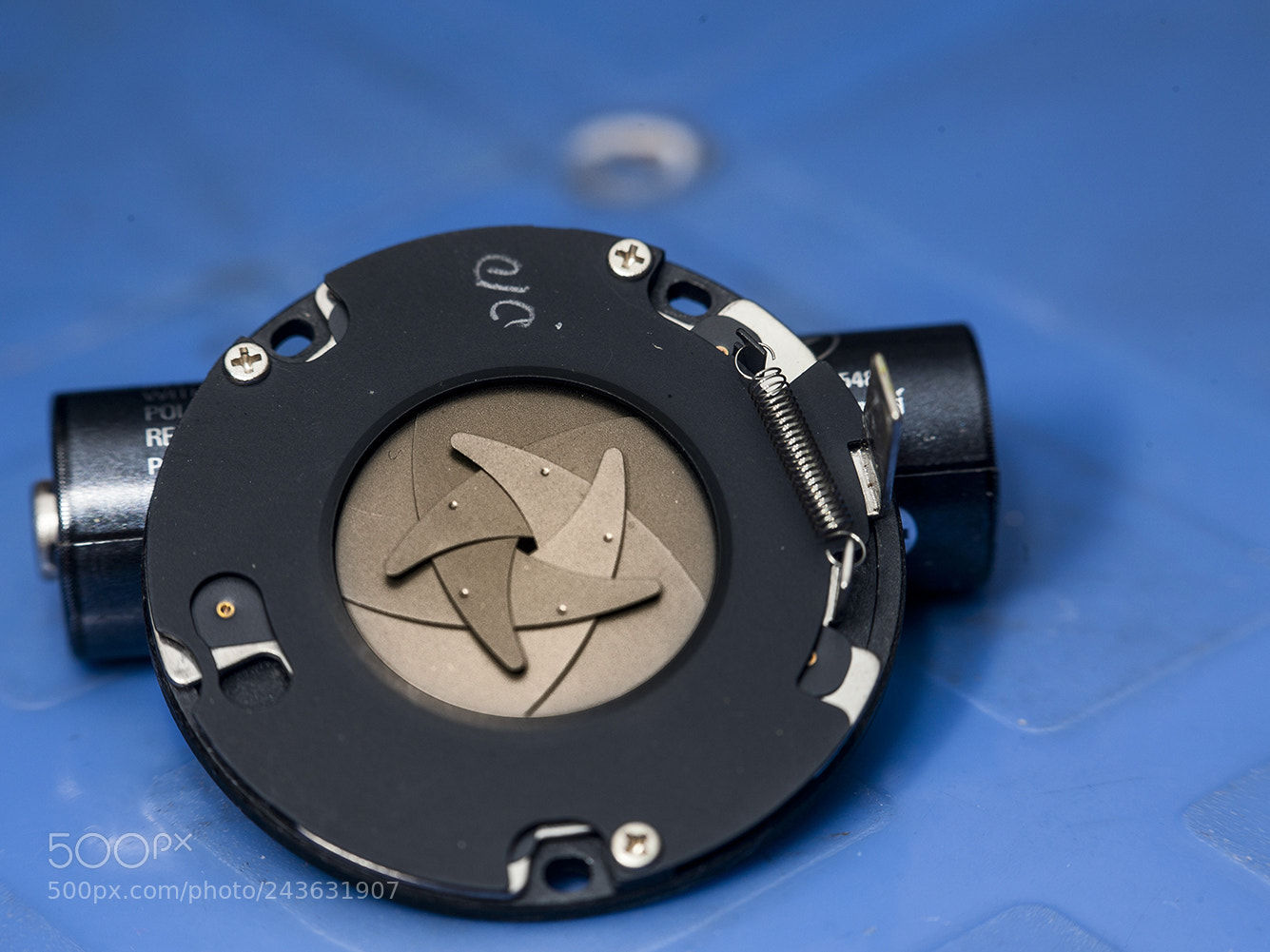 Canon EOS-1Ds Mark III sample photo. 1023782.jpg photography
