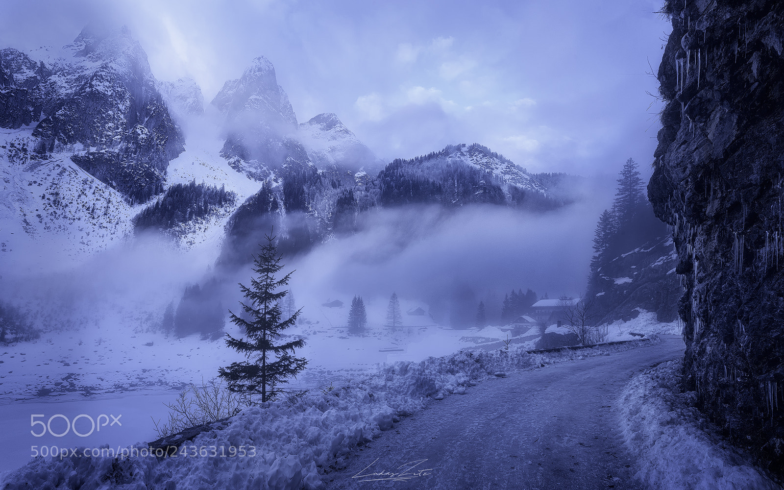 Nikon D600 sample photo. Ice, snow and fog photography