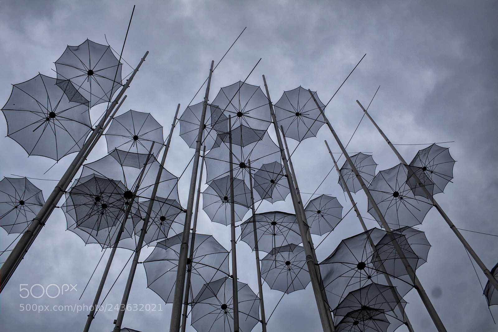 Canon EOS 50D sample photo. Umbrellas photography
