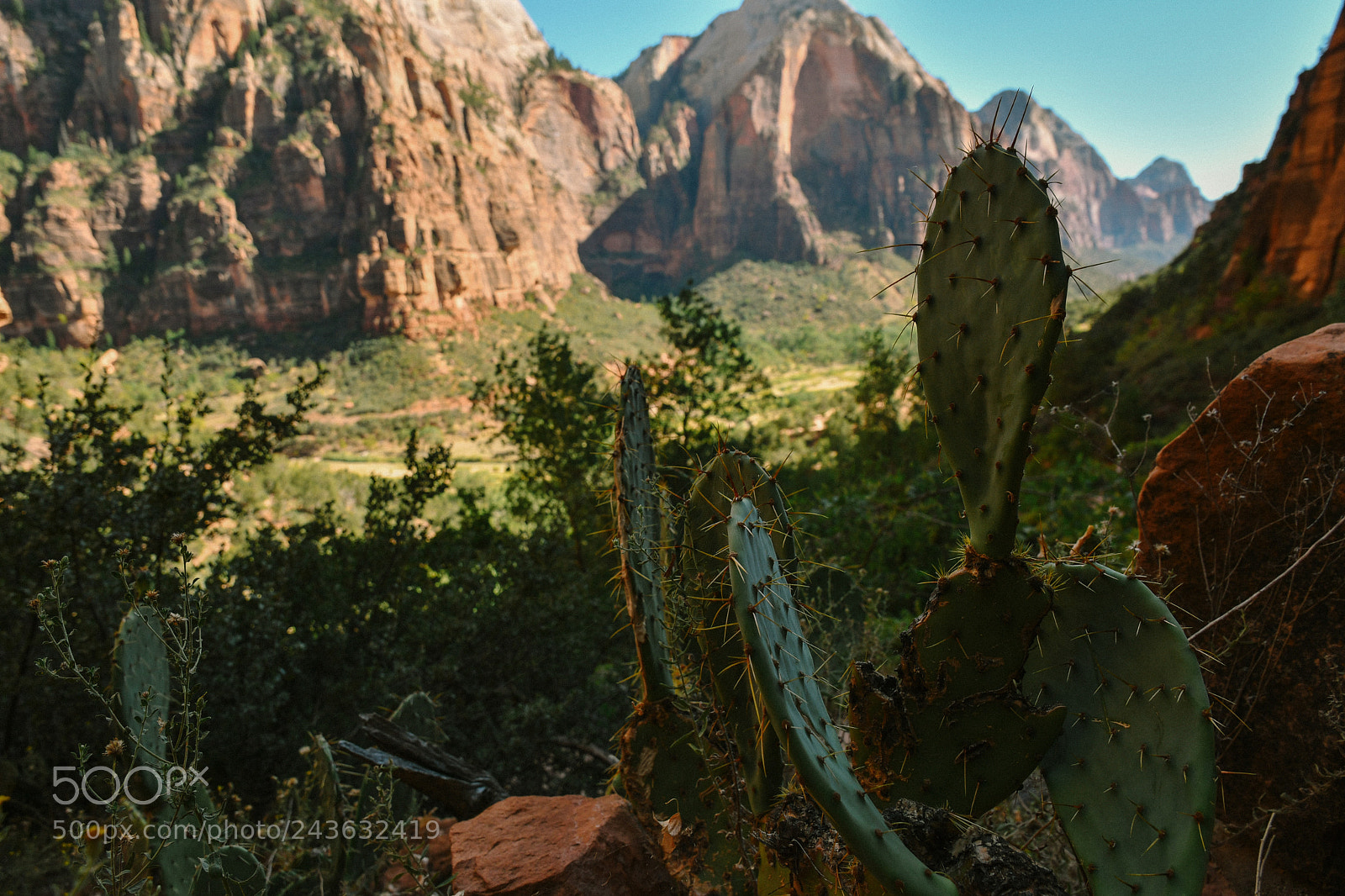 Nikon D500 sample photo. Zion national park photography
