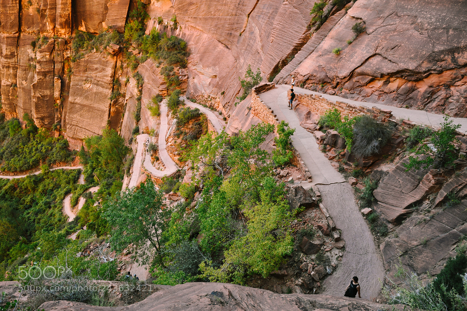 Nikon D500 sample photo. Zion national park photography