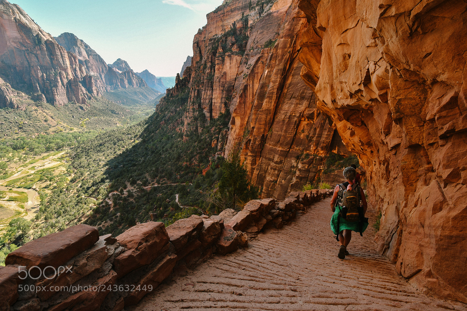 Nikon D500 sample photo. Zion national park photography