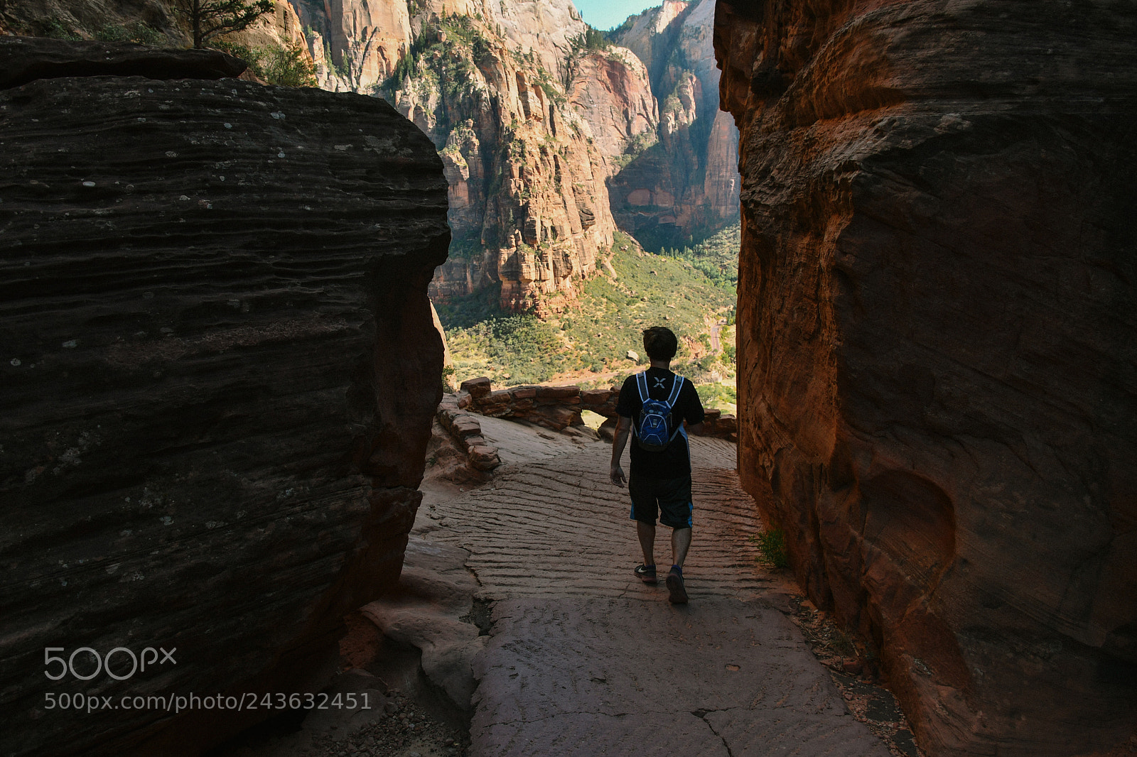 Nikon D500 sample photo. Zion national park photography