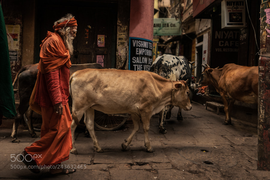 Sony a7R II sample photo. Varanasi. uttar pradesh. india. photography