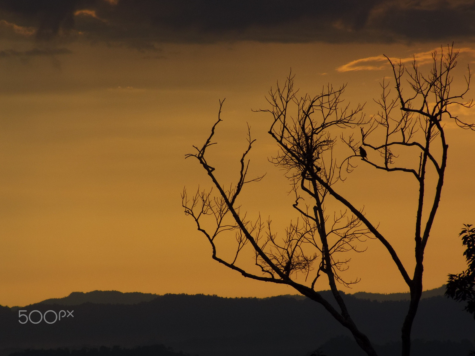 Fujifilm FinePix S6800 sample photo. Sunset over hills photography