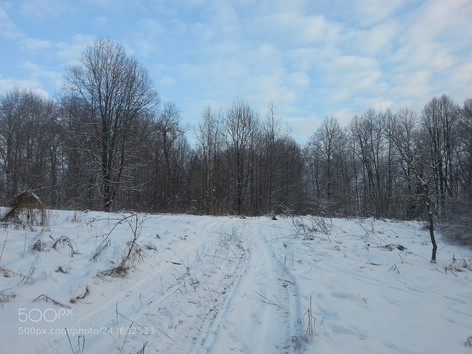 Samsung Galaxy S3 sample photo. Untitled photography