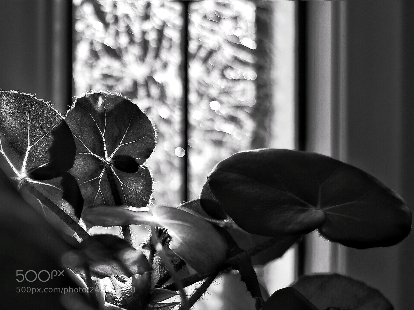 Nikon Df sample photo. B w week day photography