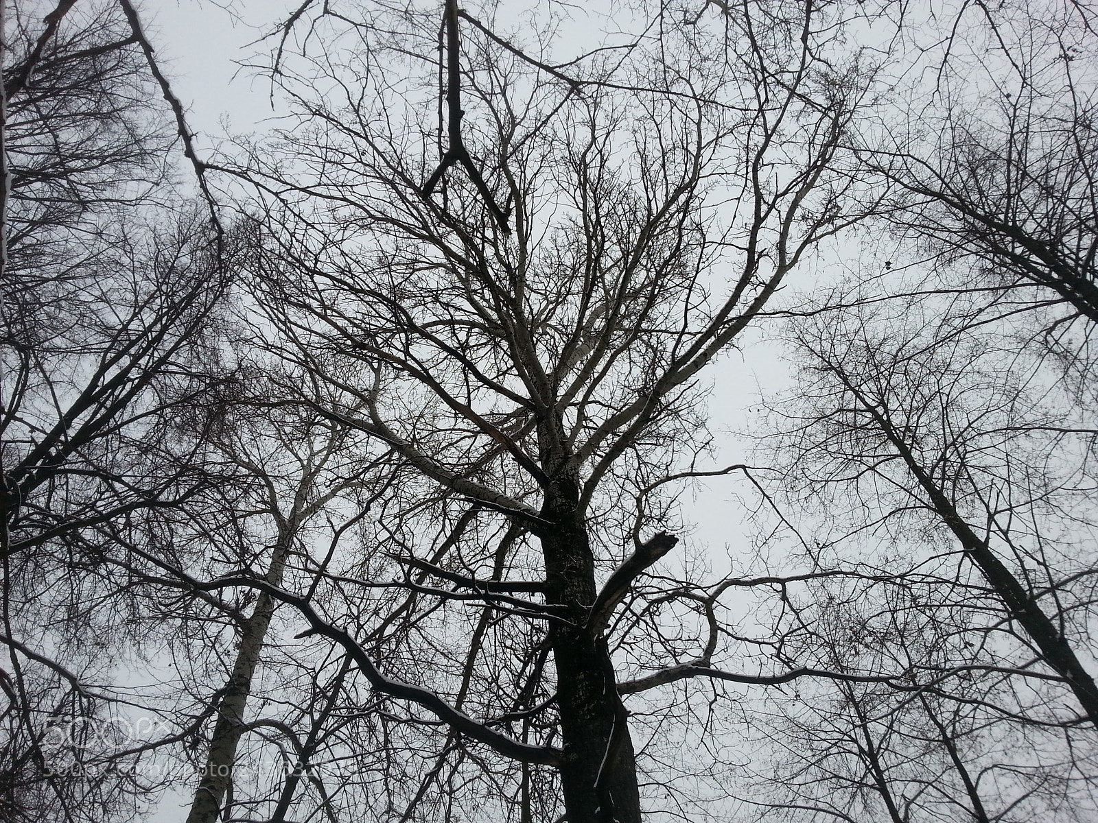 Samsung Galaxy S3 sample photo. Untitled photography