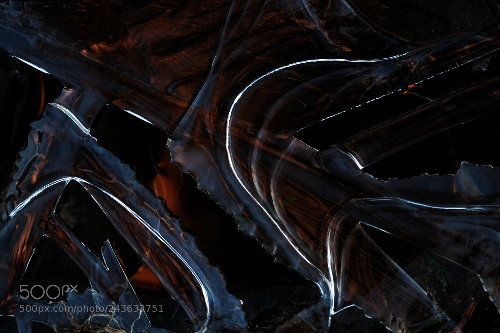 Fujifilm X-T1 sample photo. Dscf8064-1.jpg photography