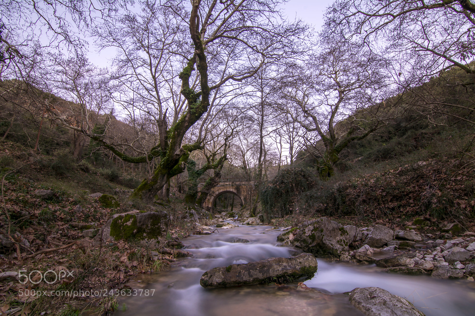 Nikon D7100 sample photo. River mirtia photography