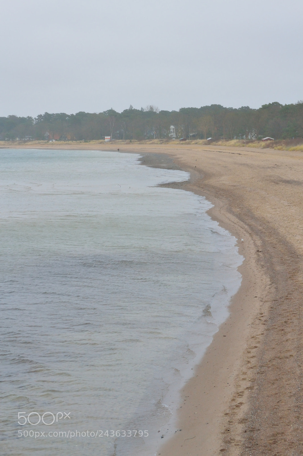 Nikon D3100 sample photo. Winter beach photography