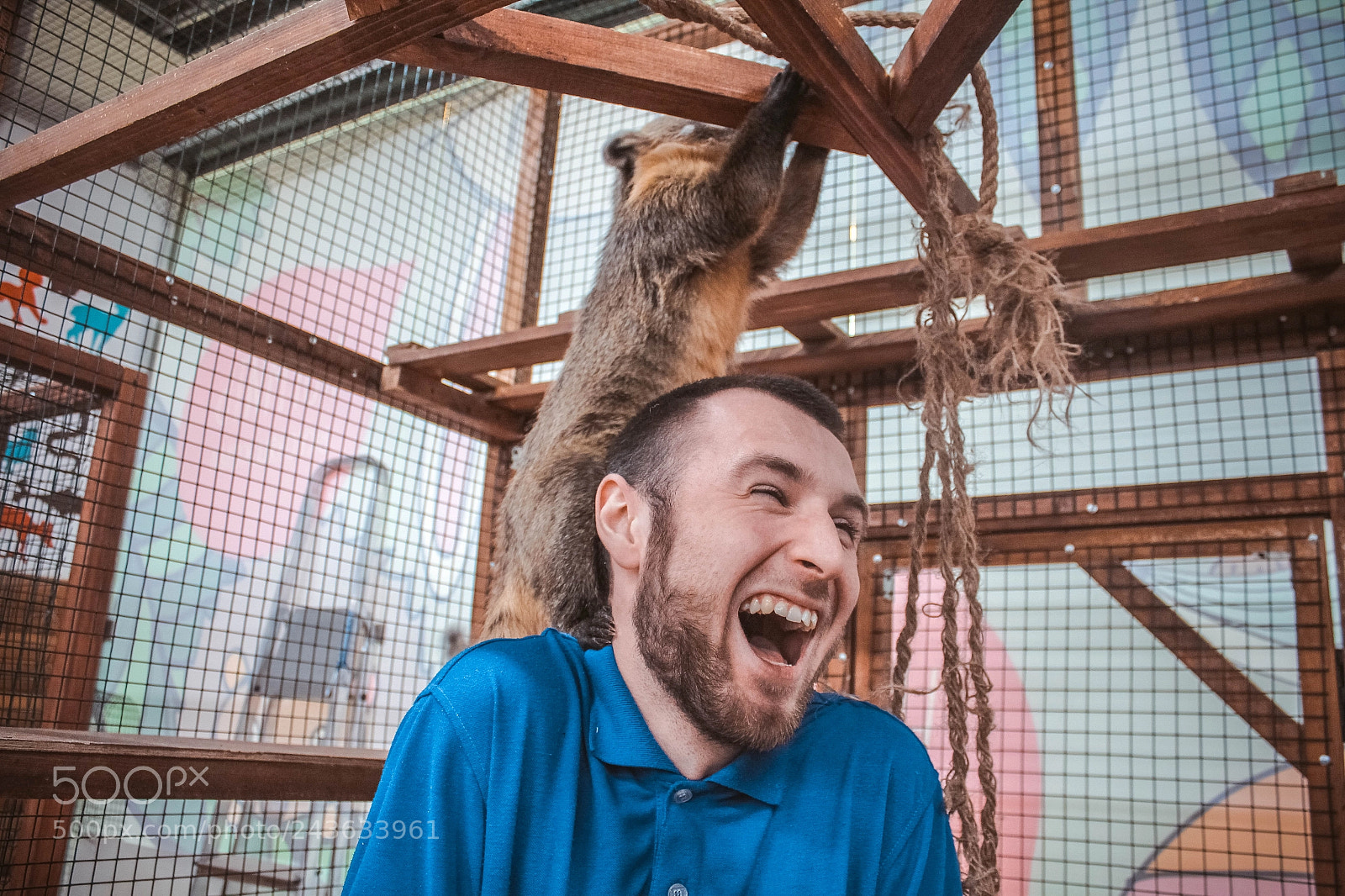 Canon EOS 60D sample photo. Coati photography