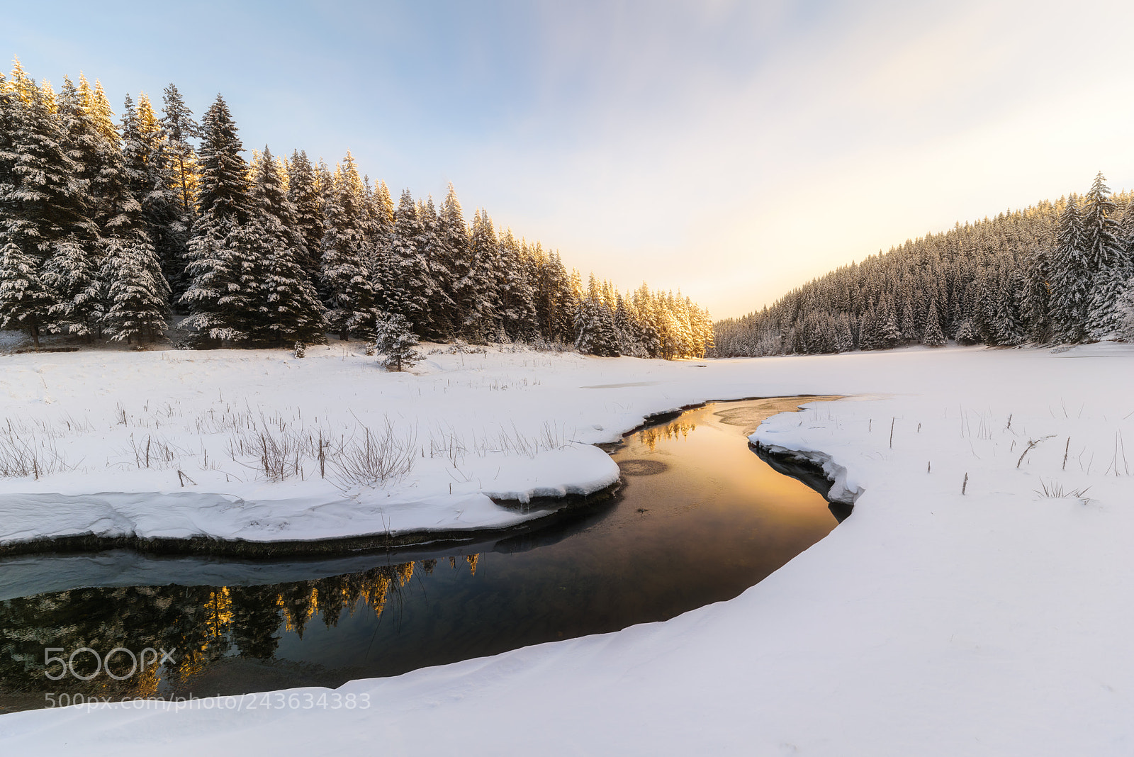 Nikon D810 sample photo. Morning photography