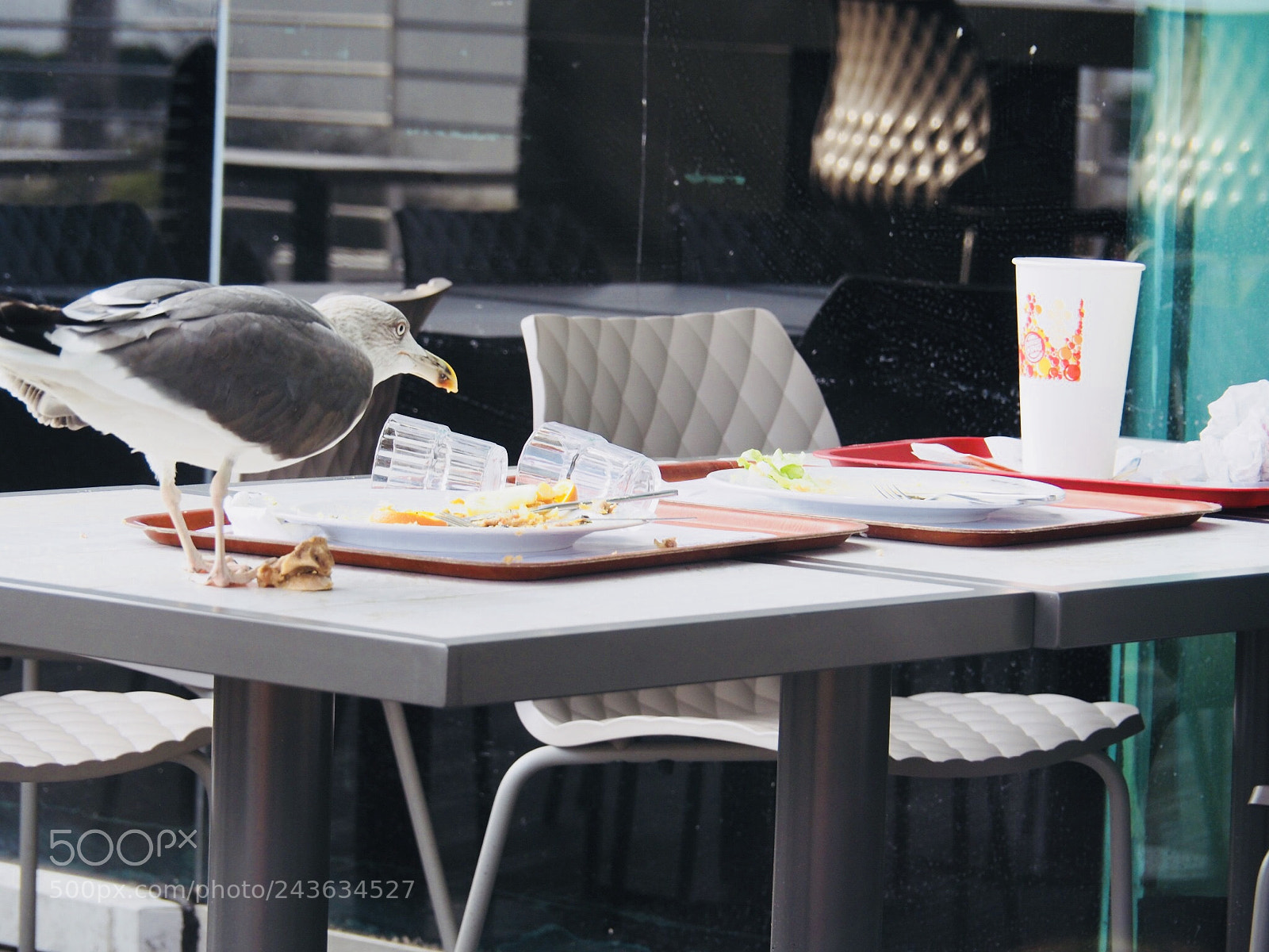 Olympus OM-D E-M5 II sample photo. Hunger photography