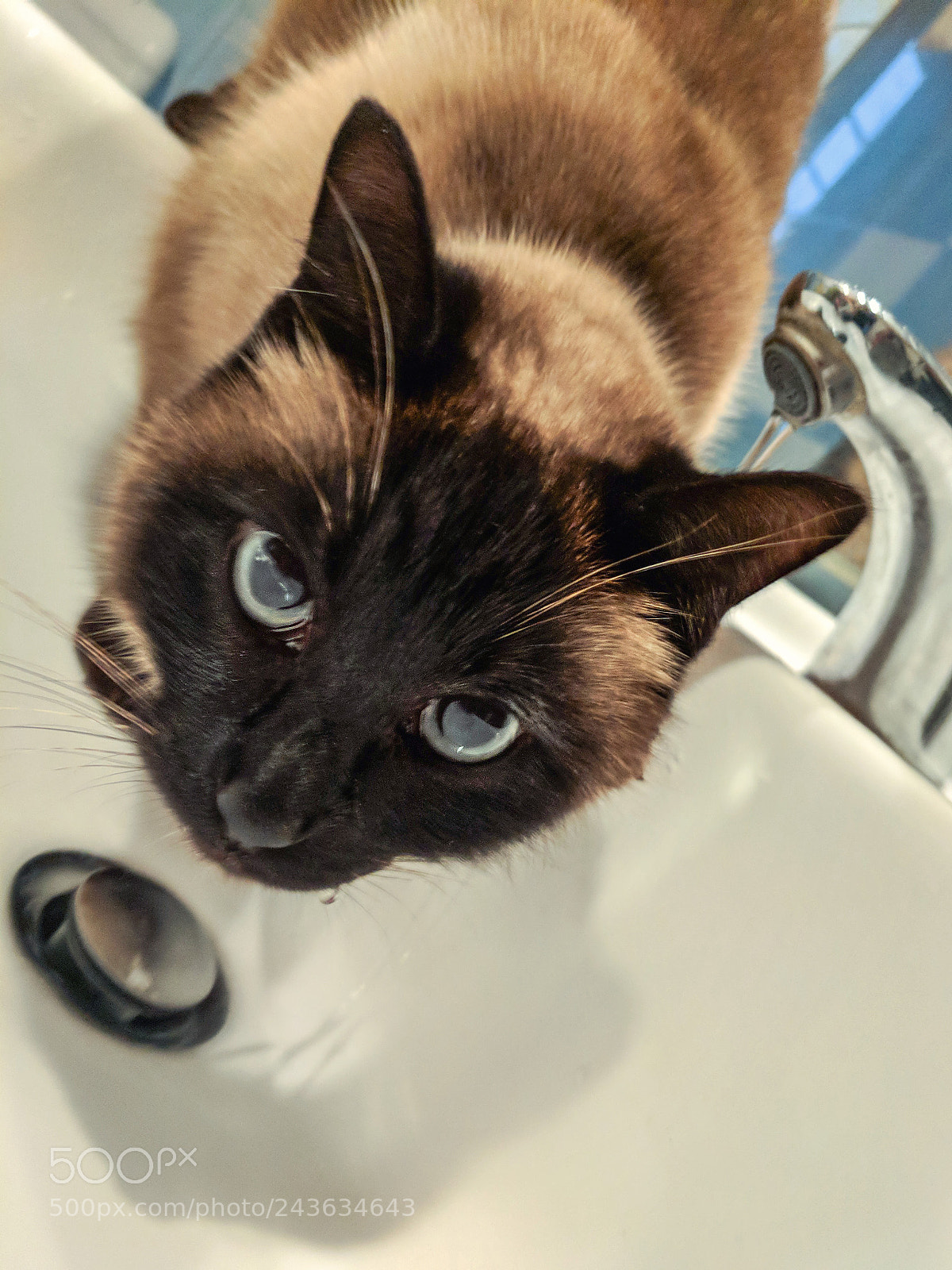 Google Pixel sample photo. Man, i'm drinking! photography