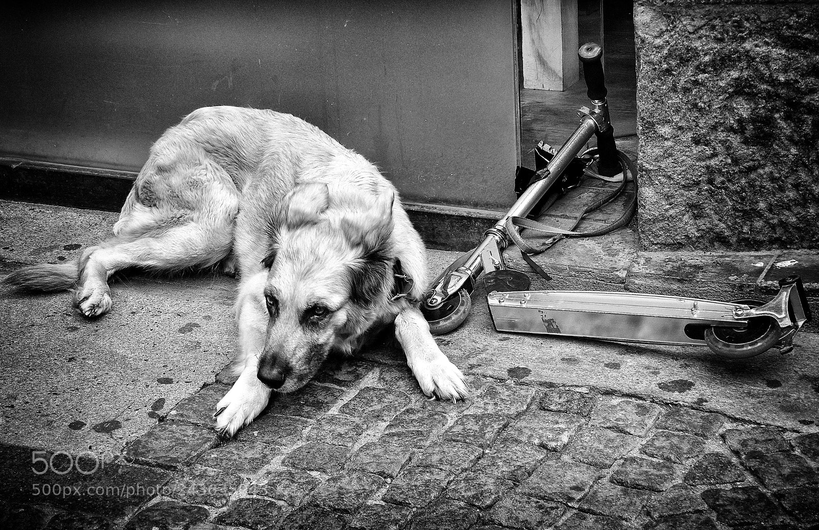 Nikon D3100 sample photo. Images on the run... photography