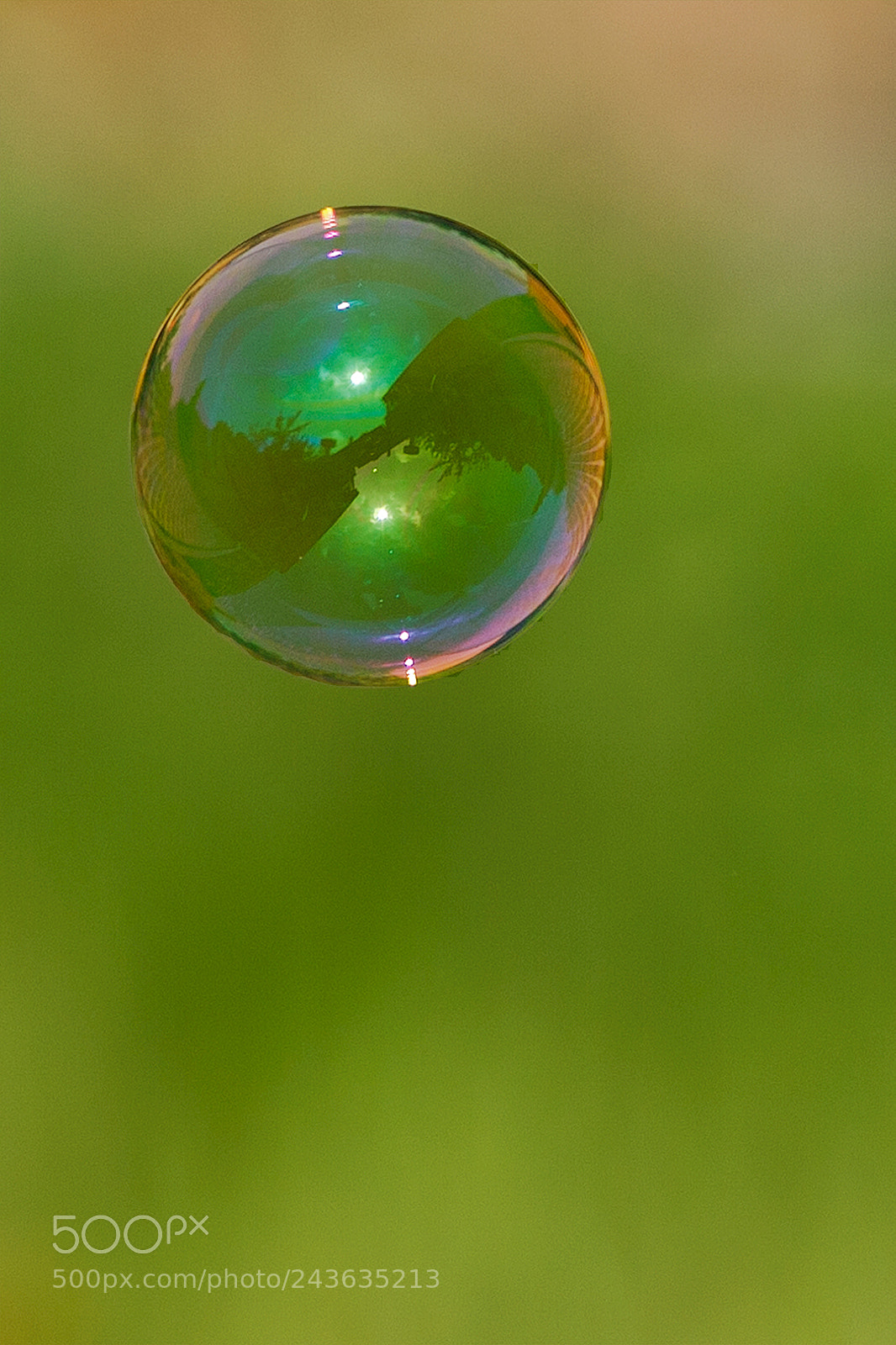 Canon EOS-1D X sample photo. Home in a buble photography