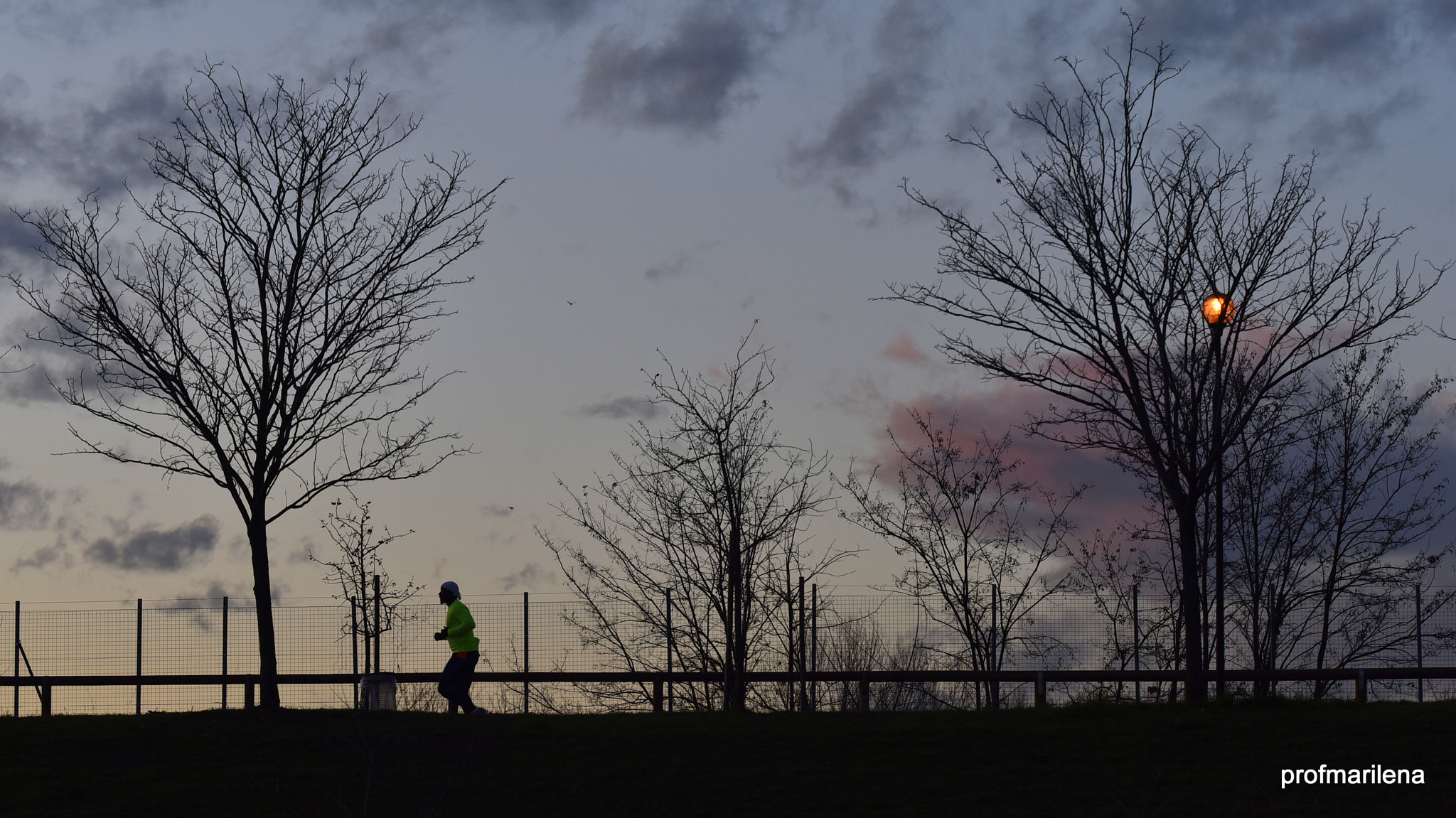 Sigma 150mm F2.8 EX DG OS Macro HSM sample photo. Evening runner photography