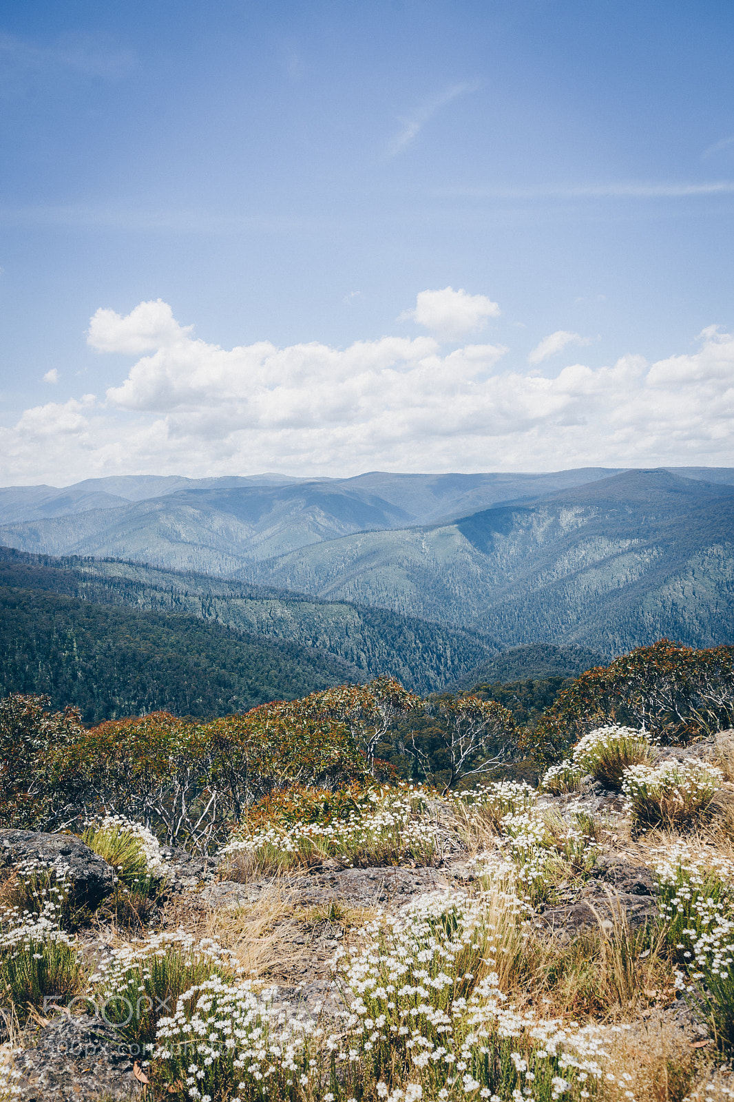 Nikon D7200 sample photo. View from lankey plain photography