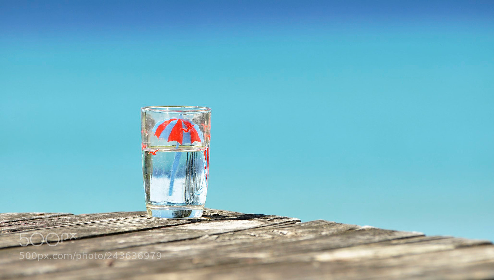 Nikon D90 sample photo. Summer photography