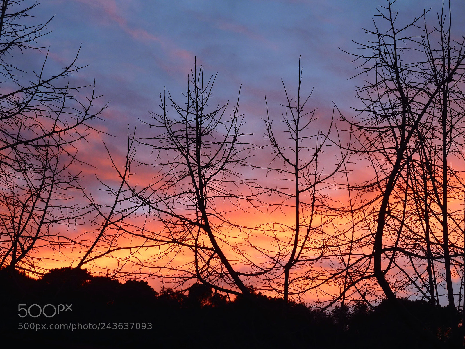 Panasonic Lumix DMC-ZS5 (Lumix DMC-TZ8) sample photo. Winter sunset photography