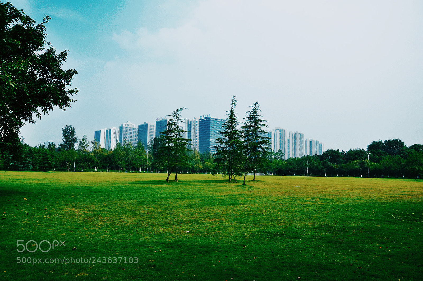 Nikon D90 sample photo. City photography