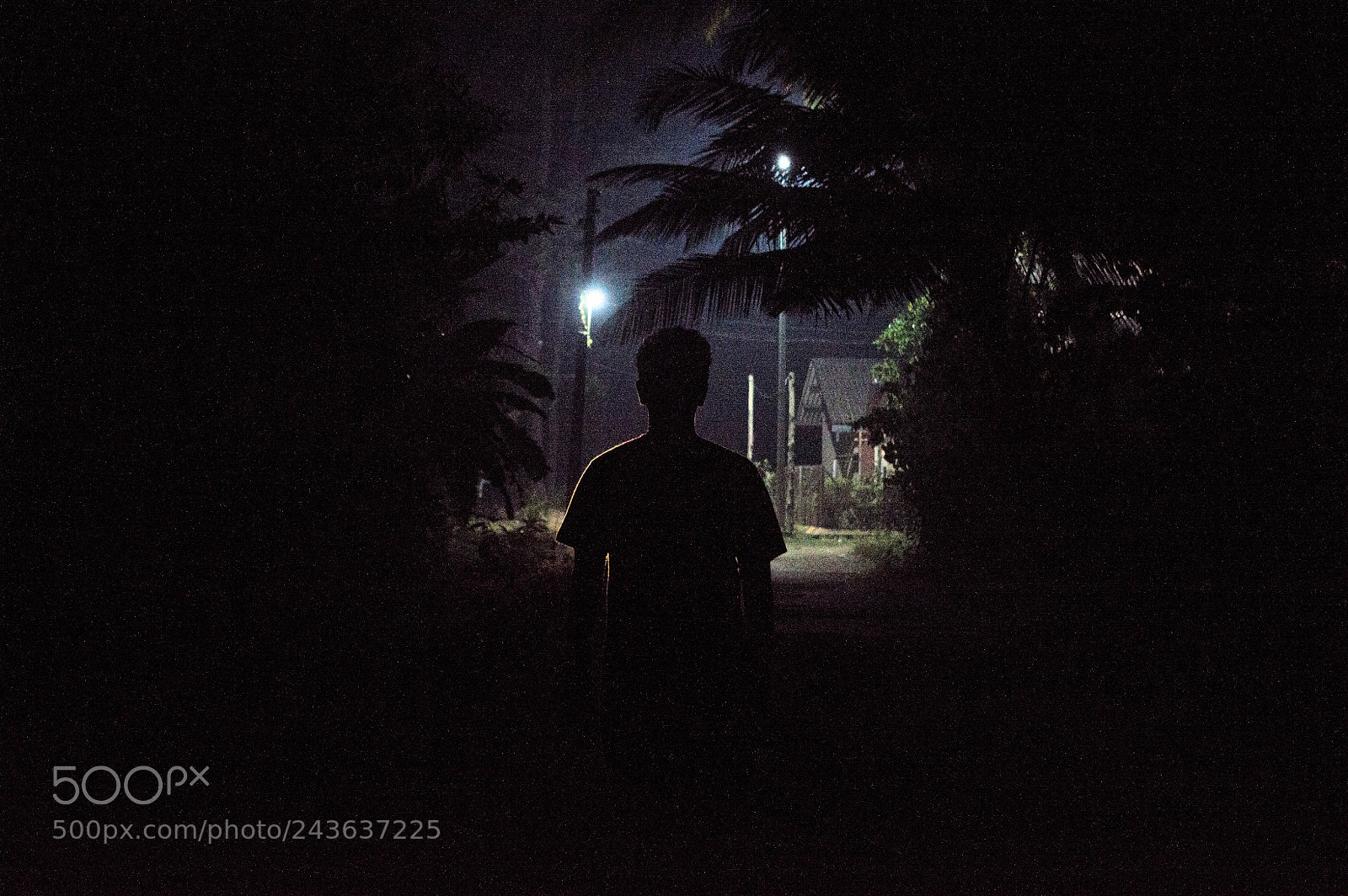 Nikon D3200 sample photo. From dark to light photography
