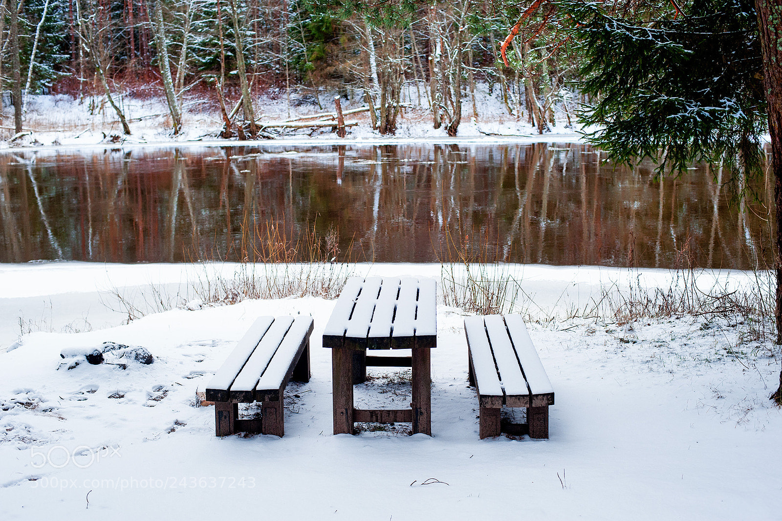 Nikon D3 sample photo. Resting place near the photography