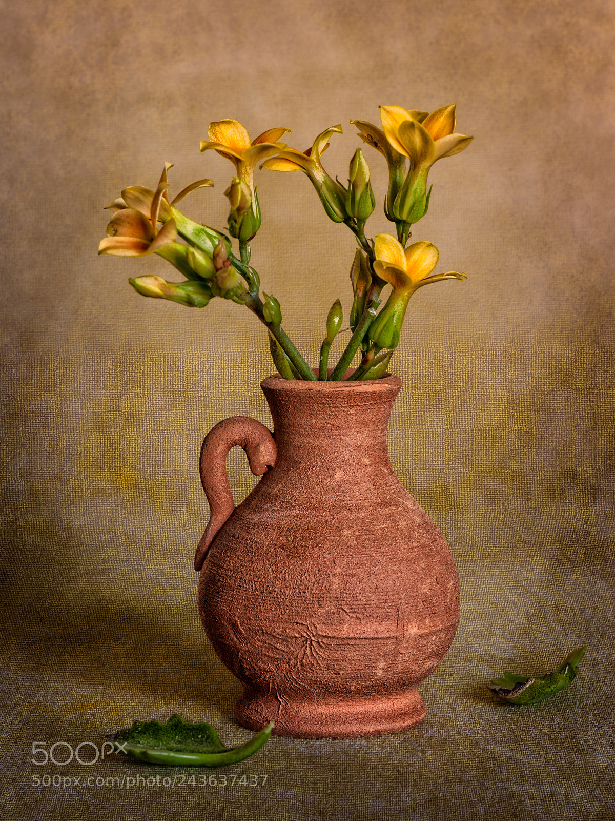 Nikon D90 sample photo. Kalanchoe photography