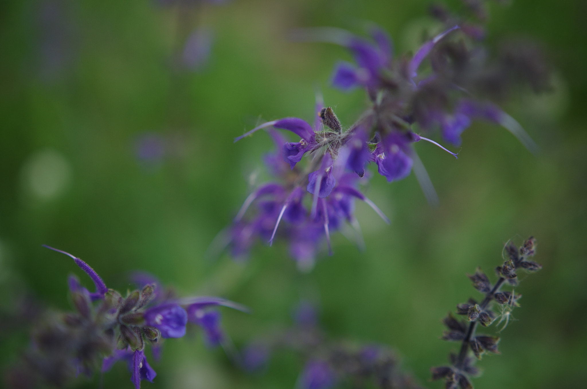 Sigma 18-35mm F1.8 DC HSM Art sample photo. Untitled photography