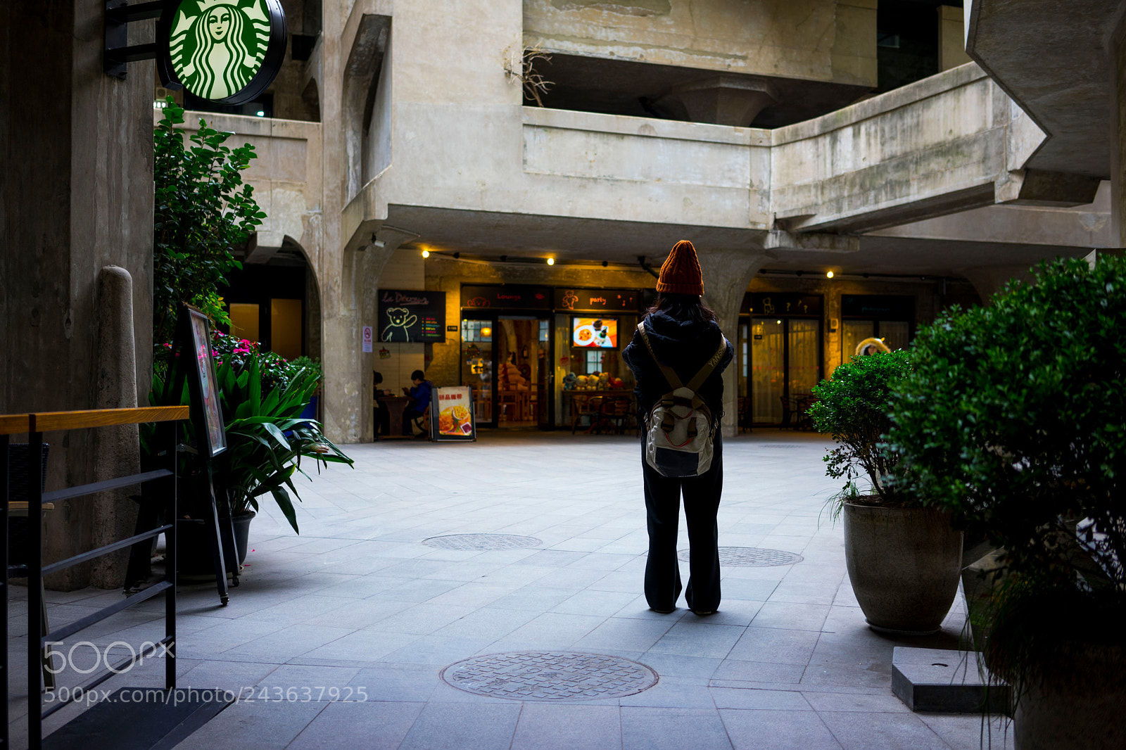 Sony a7 sample photo. Taking photo photography