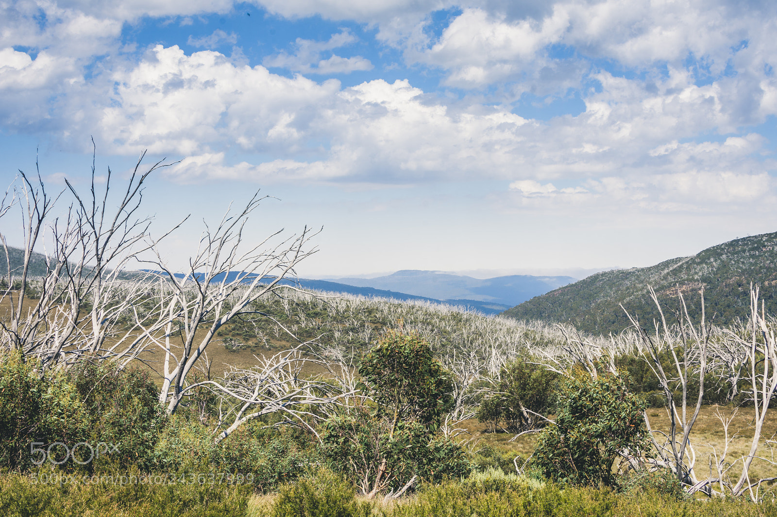 Nikon D7200 sample photo. Wellington high plain photography